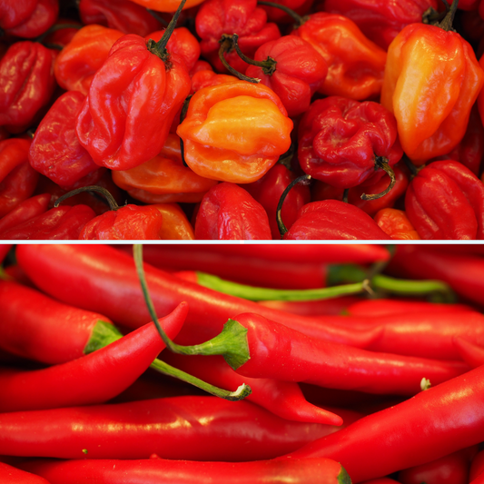 2 Packs Chilli Pepper Seeds - Scotch Bonnet and Jalapeno Seeds