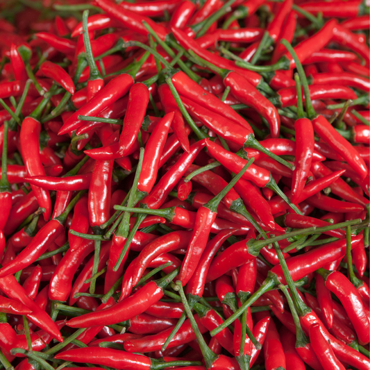 Chilli Pepper - Ring O Fire Seeds