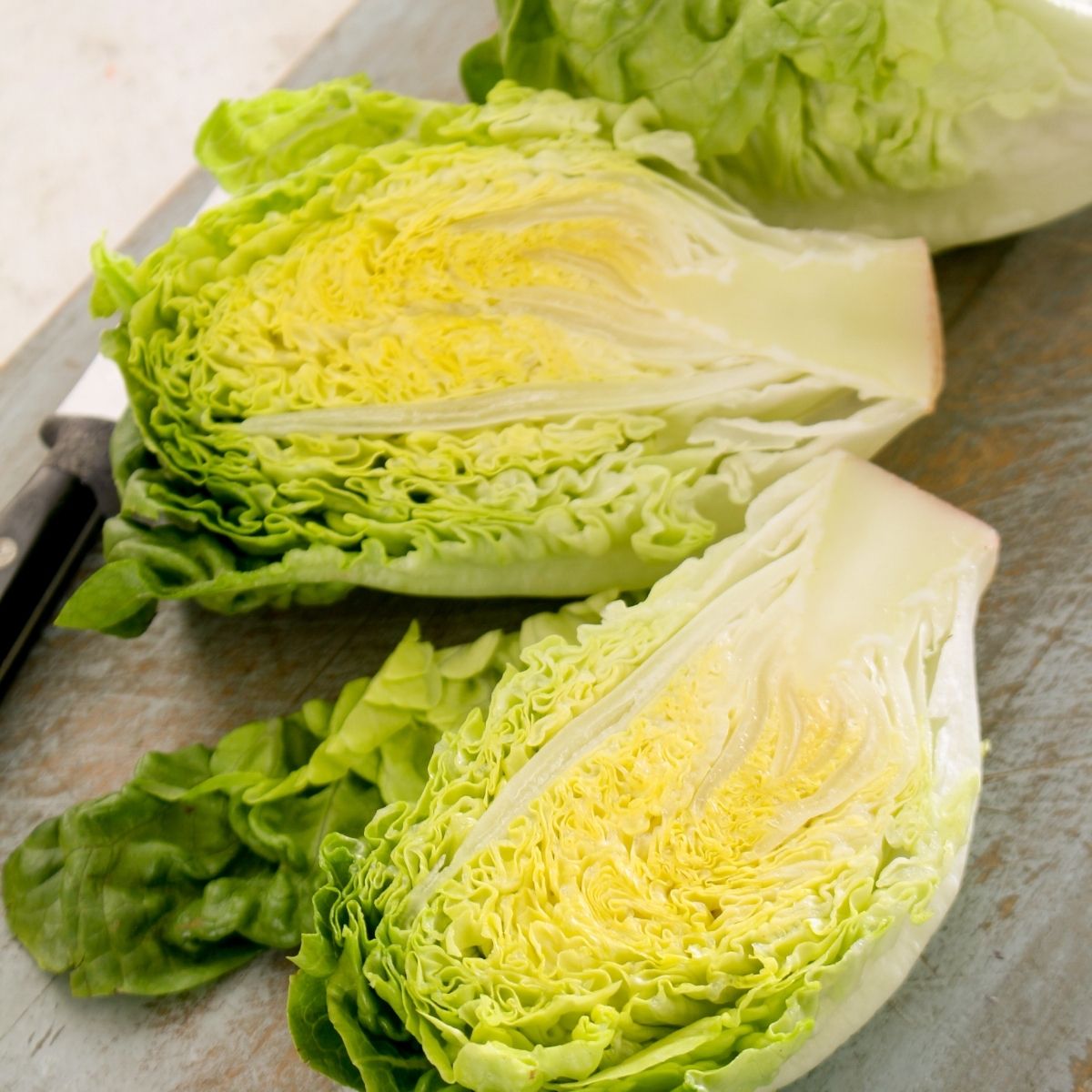 Lettuce - Vailan - 100 Seeds