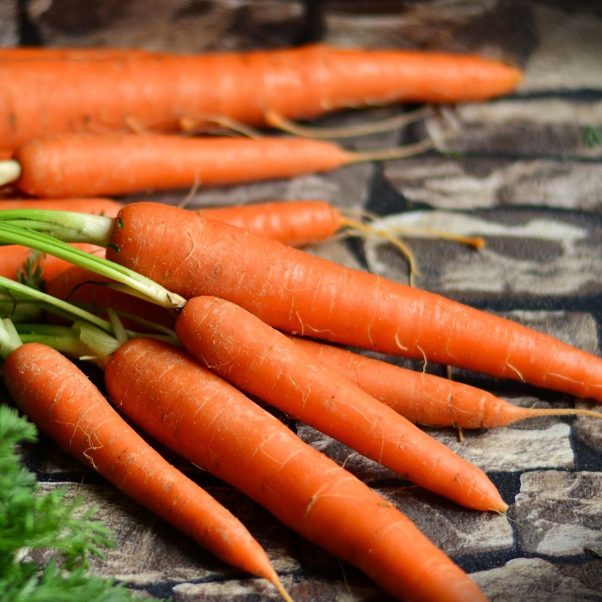 Carrot - Autumn King Seeds