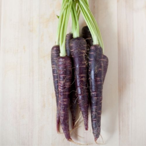 Carrot - F1 Purple Sun Seeds