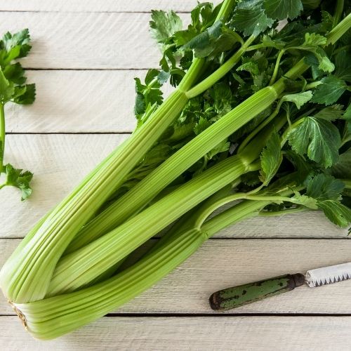 Celery - Golden Self Blanching Seeds