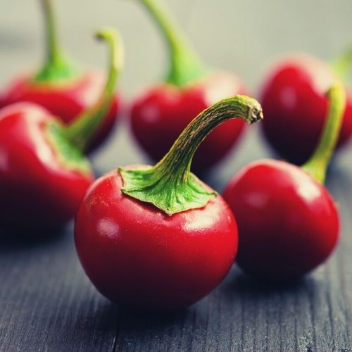 Chilli Pepper - Cherry Bomb Seeds