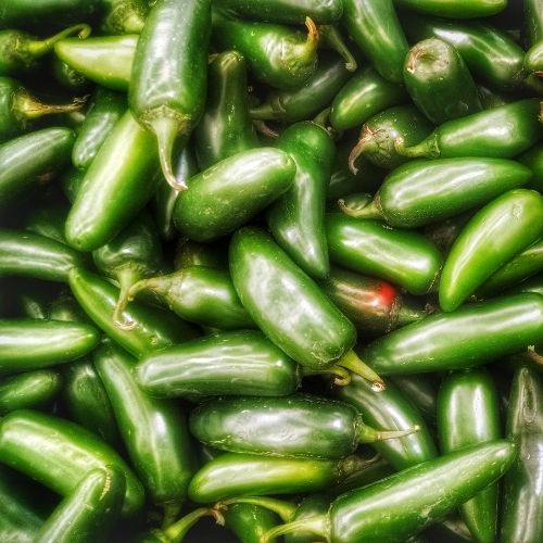Chilli Pepper - Jalapeno Seeds