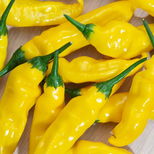 Chilli Pepper - Hot Lemon Seeds