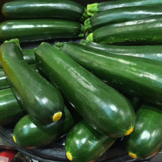 Courgette - Green Bush Seeds