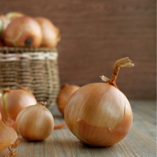 Onion - Ailsa Craig Prizewinner Seeds