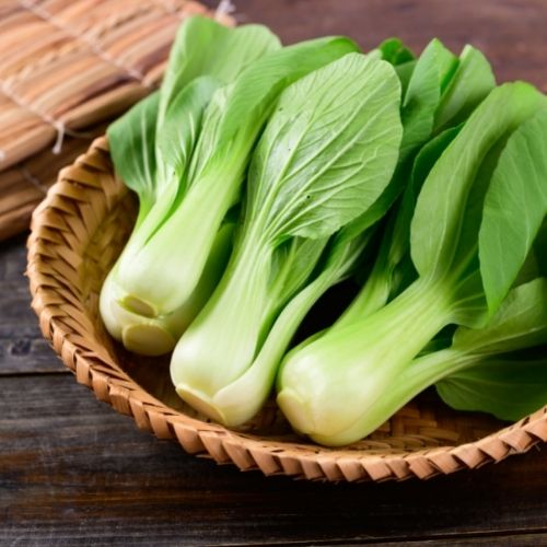 Pak Choi Dwarf Canton White - Oriental Chinese Vegetable Seeds