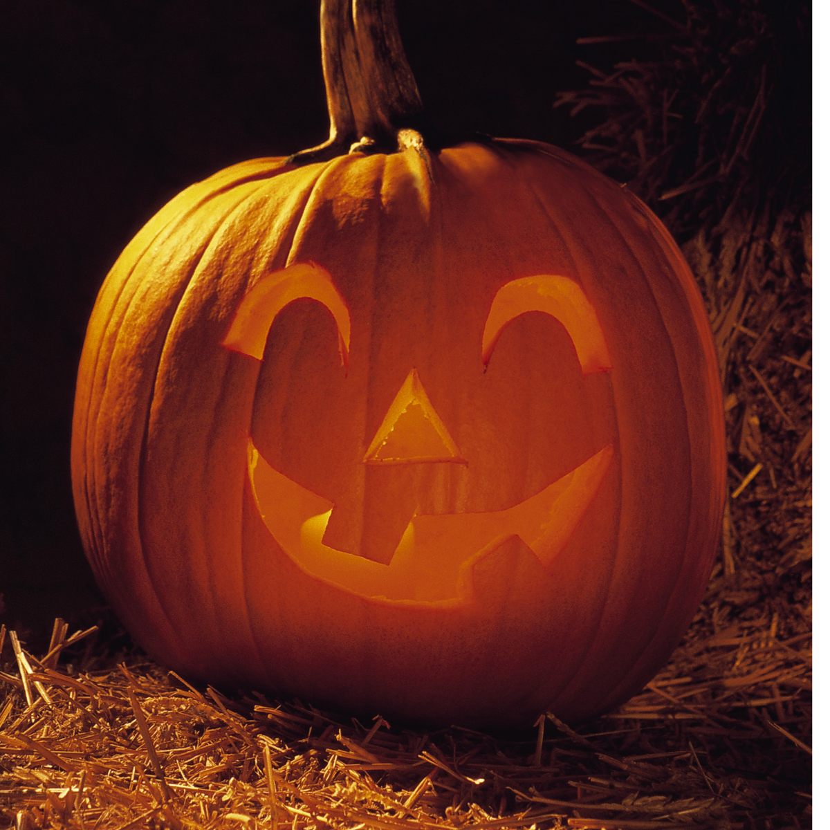 Pumpkin - Jack O'Lantern Seeds