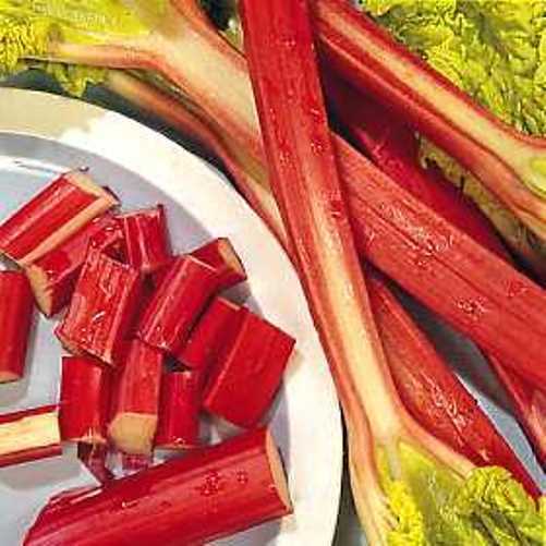 Rhubarb - Glaskin's Perpetual Seeds