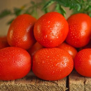 Tomato - Roma VF Plum Seeds
