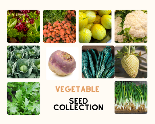 Grow Your Own Vegetables Seeds Collection