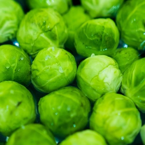 Brussel Sprouts - Bedford Darkmar 21 - Seeds