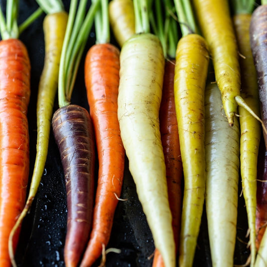 Carrot - Mixed Seeds, Grow a Rainbow of Colours