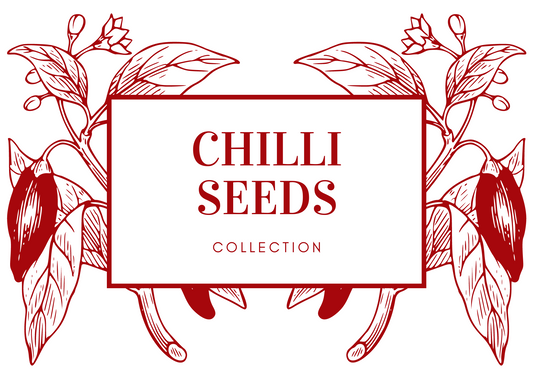 Chilli Seeds Grow Your own Box - Jalapeno, Hungarian Hot Wax, Habanero Orange, Habanero Chocolate, Scotch Bonnet Red, Anaheim Seeds