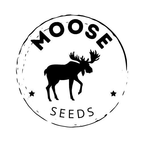 Mooseseeds