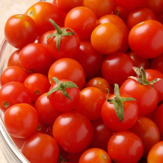 Tomato - Tiny Tim Seeds