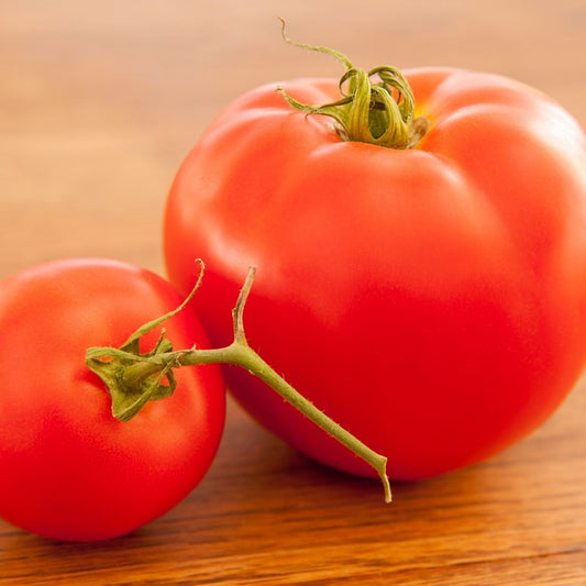 Tomato - F1 Big Boy Seeds