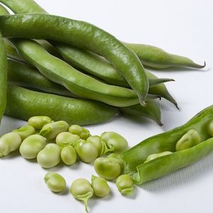 Broad Bean - Imperial Green - Longpod  Seeds