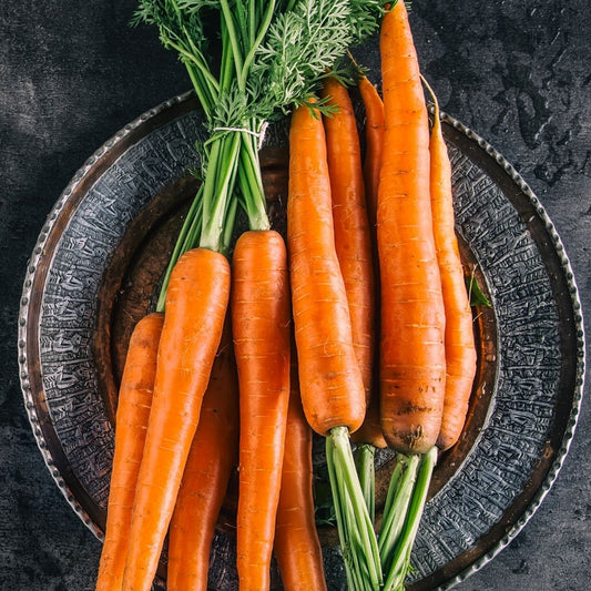 Carrot - St Valery Seeds