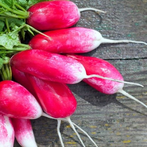 Radish - French Breakfast Seeds