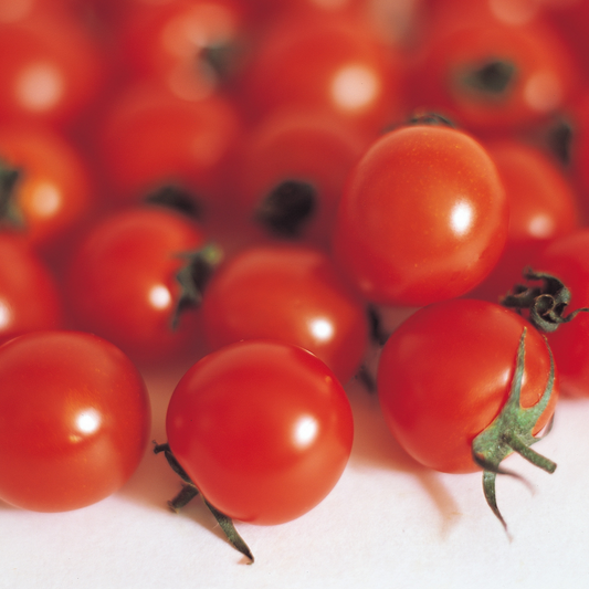 Tomato - Garden Pearl Seeds