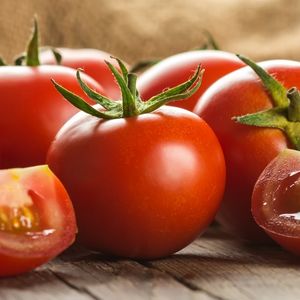 Tomato - Moneymaker Seeds