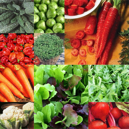 10 Pack Vegetable Seeds - Carrot, Beet, Cauliflower, Lettuce, Chilli, Rocket, Kale etc…