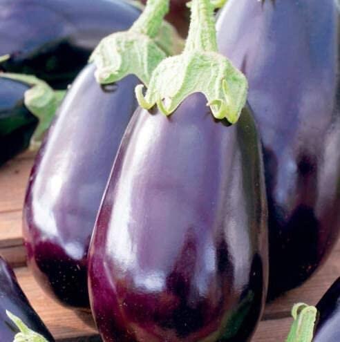 Aubergine - Black Beauty Seeds